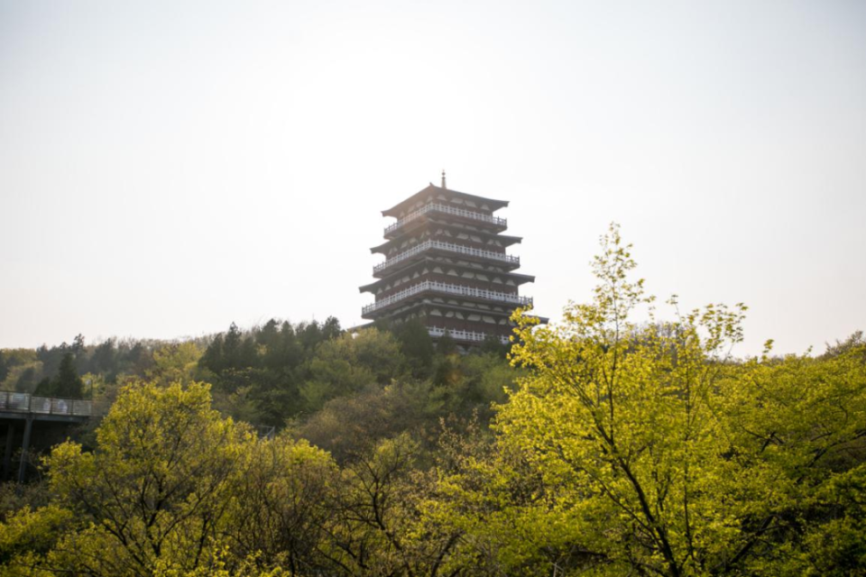 春游江淮丨这片山野村落,私藏了宿州萧县大半个春天! | 519中国旅游日