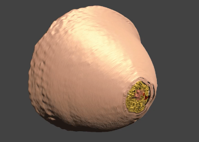 ge钼靶机怎么打印影像独角兽，或退市_https://www.jmylbn.com_新闻资讯_第5张