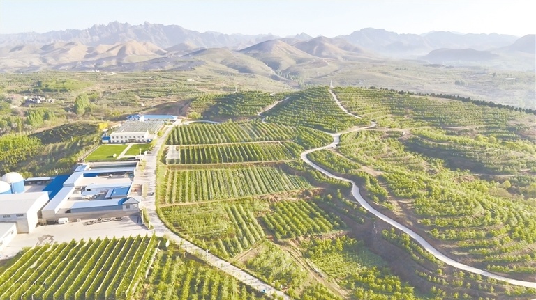 扎根——河北农业大学师生科技助农45载争作太行山上新愚公