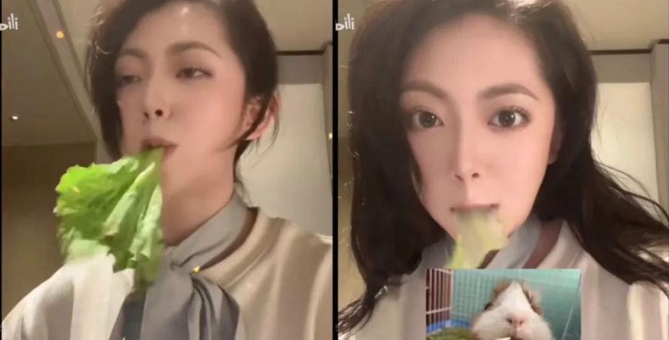 "thurman猫一杯"被封:一场流量裹挟下的舆论闹剧