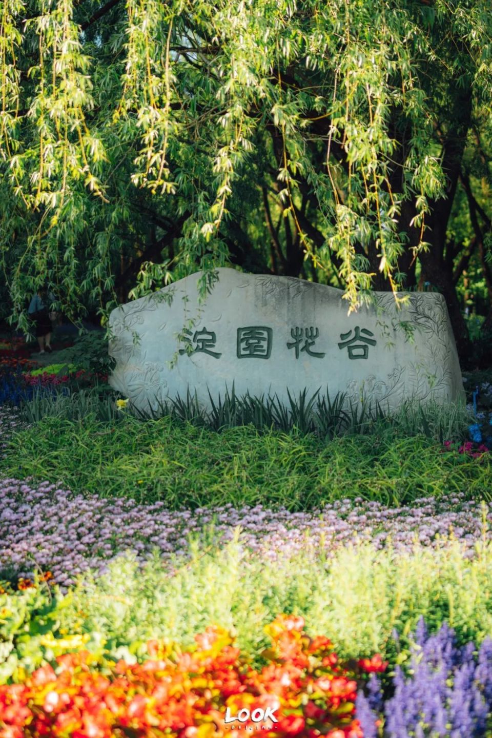 拍照 | 搭帐篷可以玩上一整天34公顷面积的海淀公园作为历史上畅春园