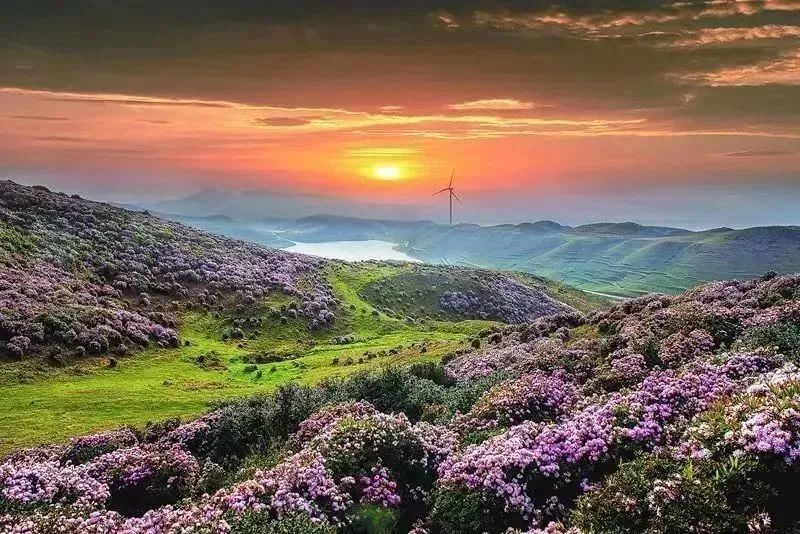 【美丽四川】走进大凉山——昭觉县_腾讯新闻