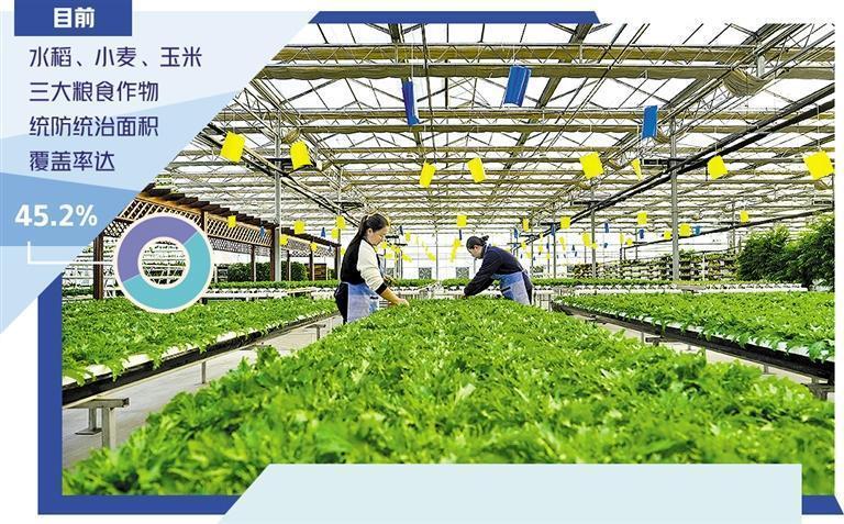 农业绿色底色更鲜明