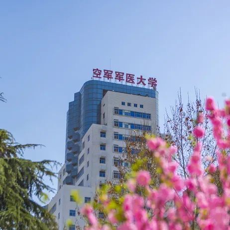 高考倒计时,空军院校学长学姐为考生加油!