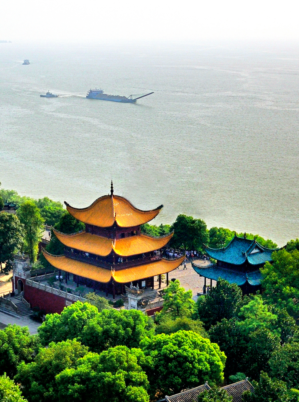 图片