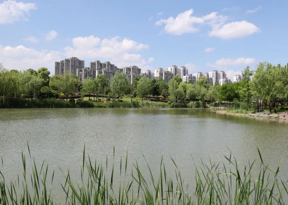 实拍淮南同款春申公园:坐标上海闵行