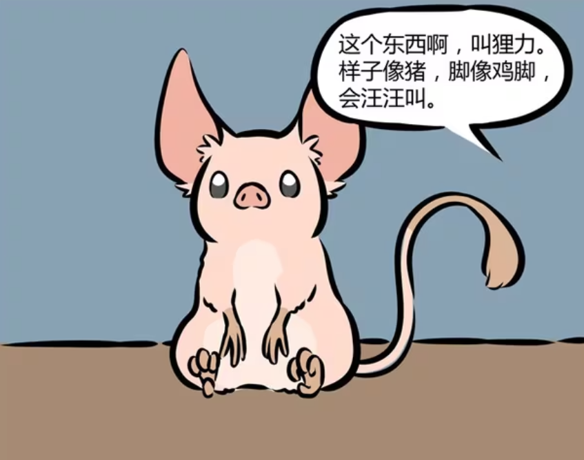 非人哉：白泽揭晓狸力的能力，九月和敖烈将它放生-古次元