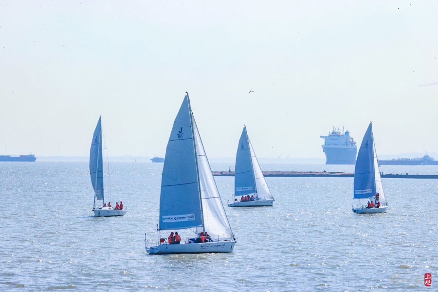 上海邮轮港国际帆船赛开赛