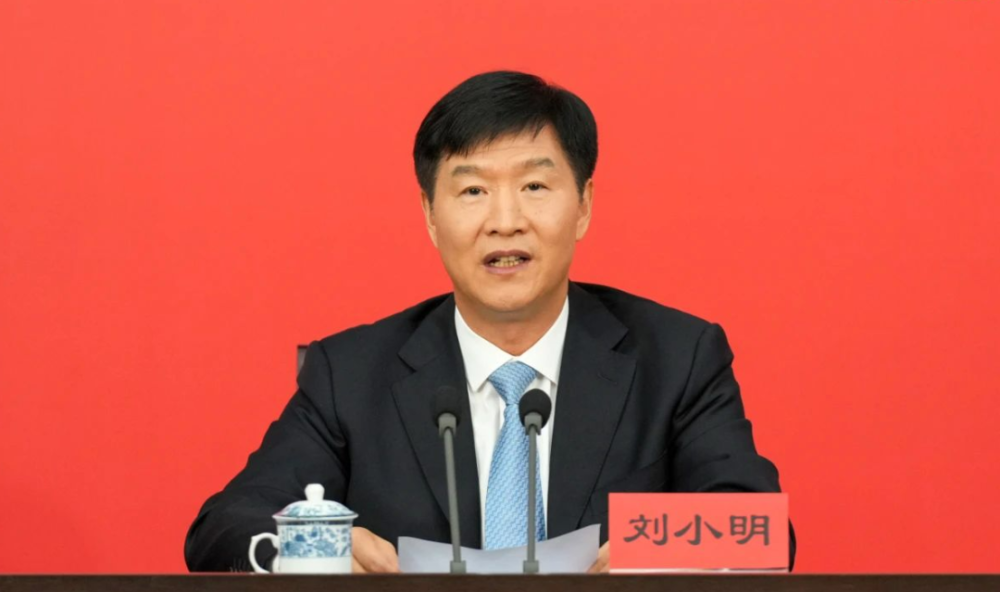 刘小明当选海南省省长内容是什么-313啦实用网