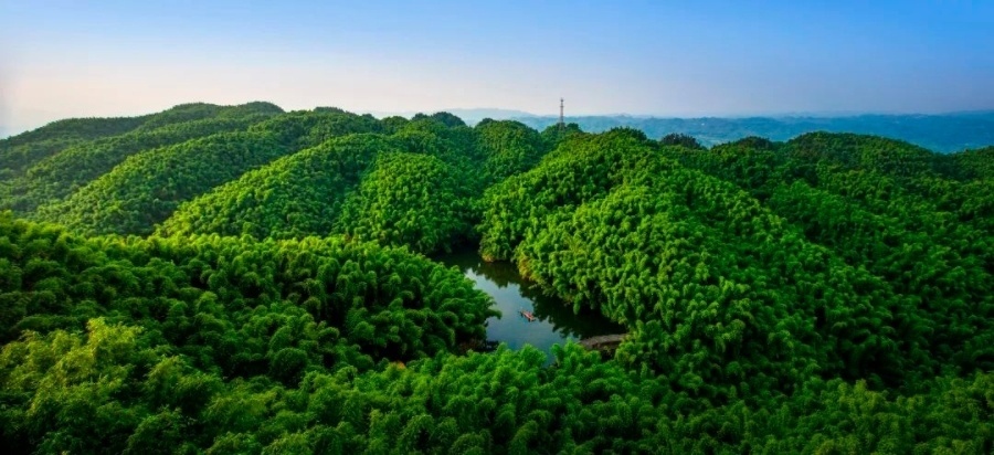 乐山新增一aaaa景区  沐川竹海"升级"