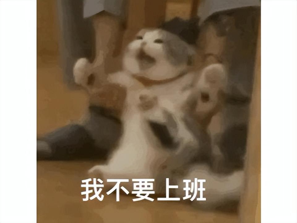 641