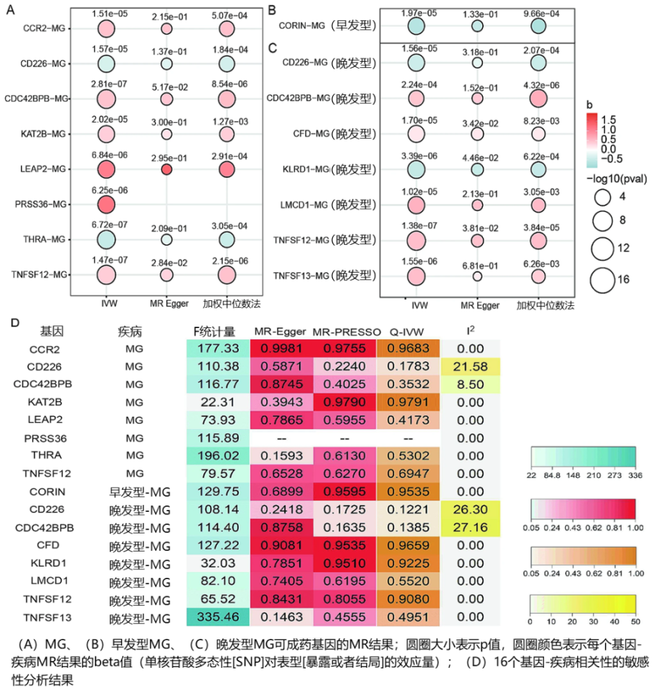 未来可期！研究发现BLyS/APRIL通路是治疗重症肌无力的重要途径_腾讯新闻