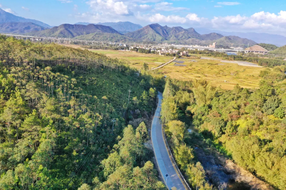 深汕特别合作区赤石镇七条村道蝶变绽新颜