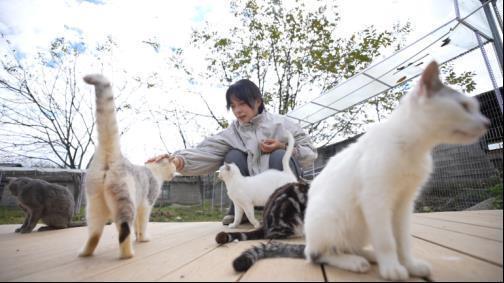每年“蹭”近百场婚宴，收养126只流浪猫狗的女孩回应网友质疑