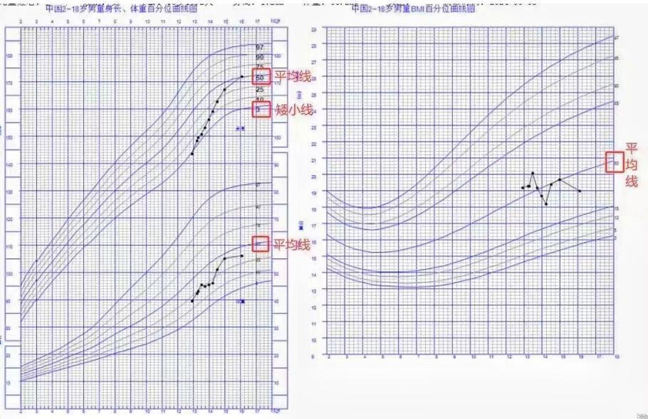 身高折线统计图图片