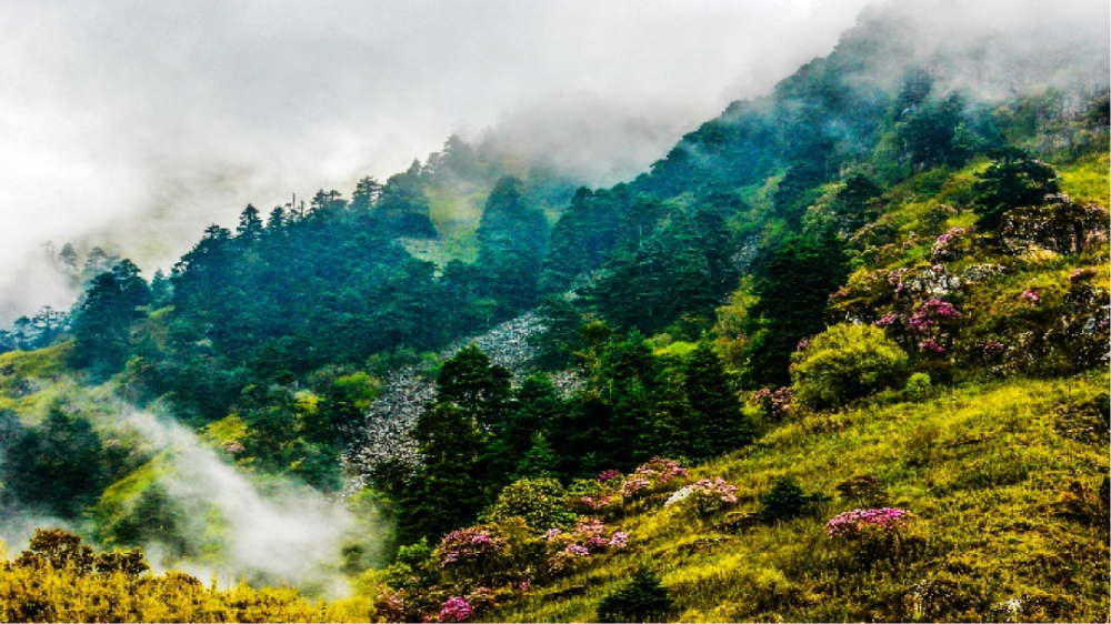【美丽四川】走进大凉山——德昌
