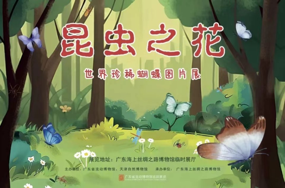 国际博物馆日,带你解锁海丝馆超多玩法!