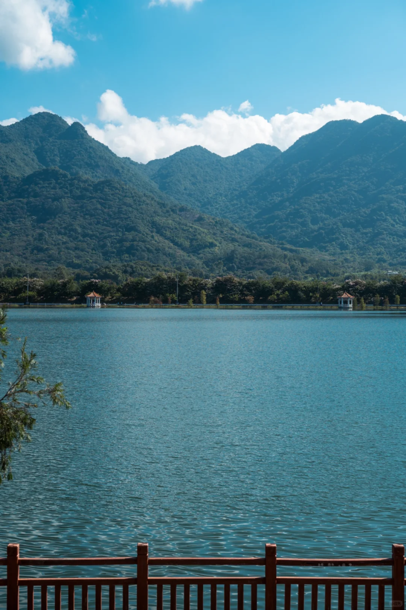 石马龙湿地公园图片