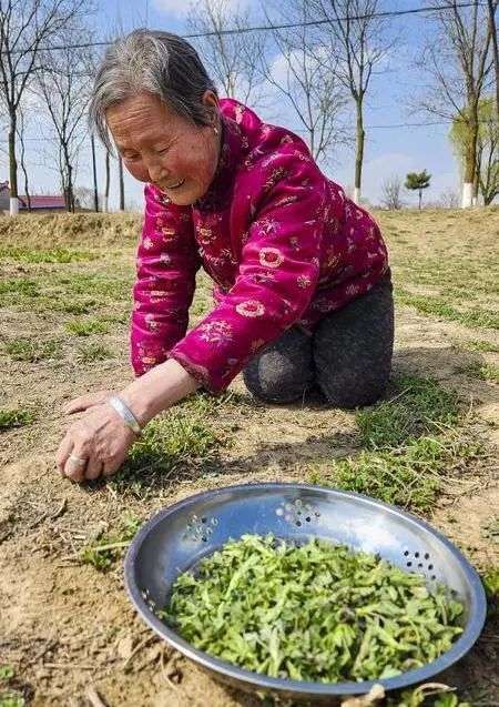俄少飞   摄西北的春天来得晚,初春确切地说依然不过是在给冬天扫尾