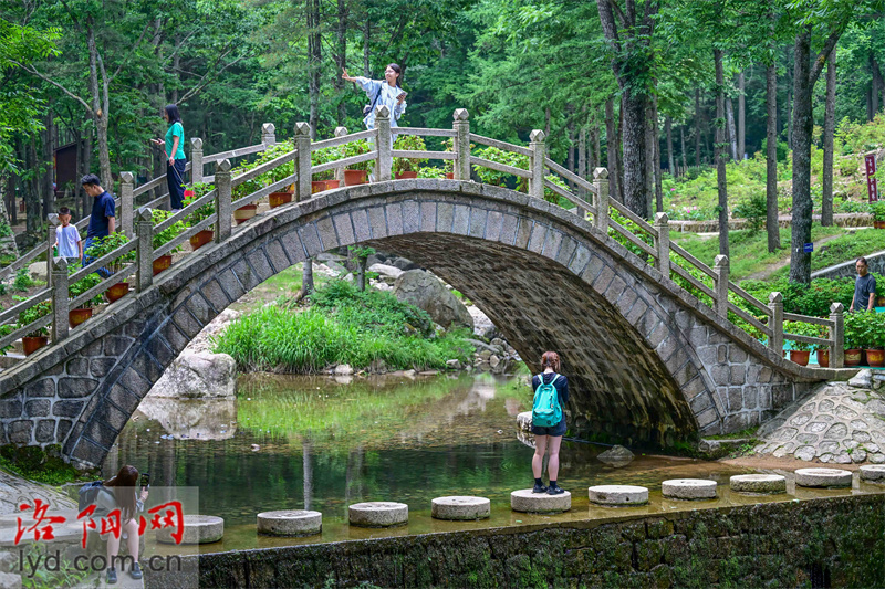 嵩县白云山景区携手游客花样过"端午"【组图】