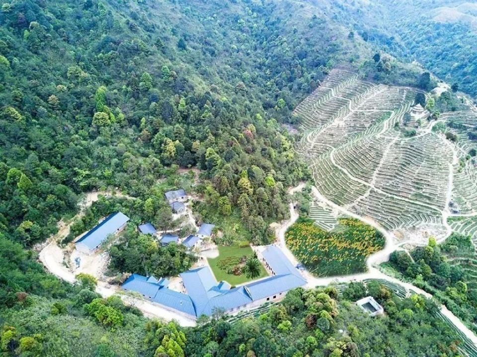 【遇见春茶】高鼎茶庄园:享受美景与香茗的双重治愈