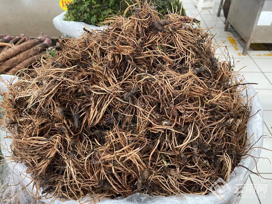 节庆云南丨普洱百草根节:食百草而得一夏安,一场百草根的狂欢-腾讯