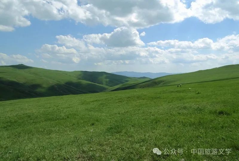 行走丨高原草甸春坤山