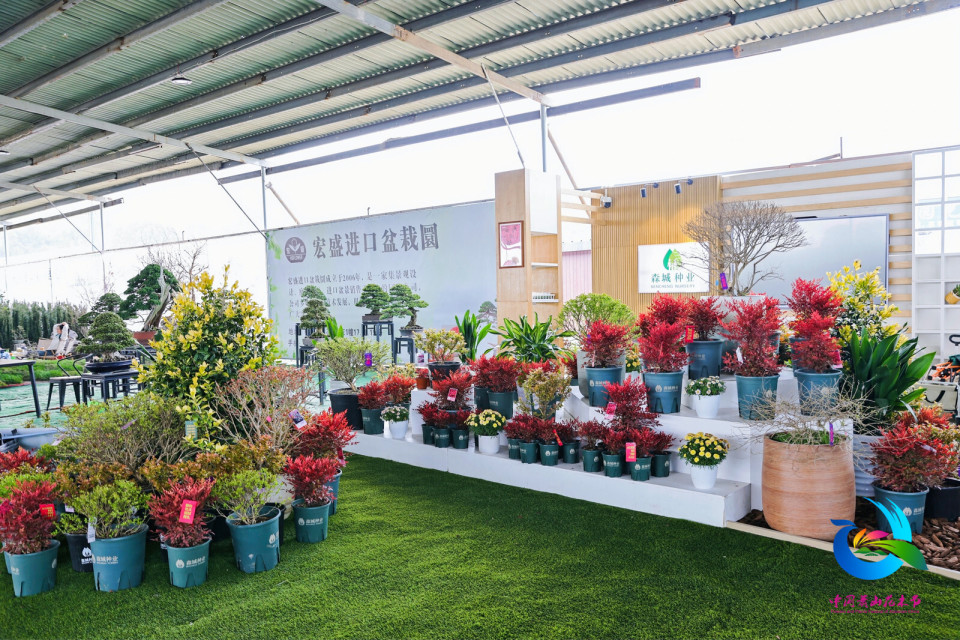 共赏全球顶级花卉聚焦2024中国萧山花木节百花盛宴