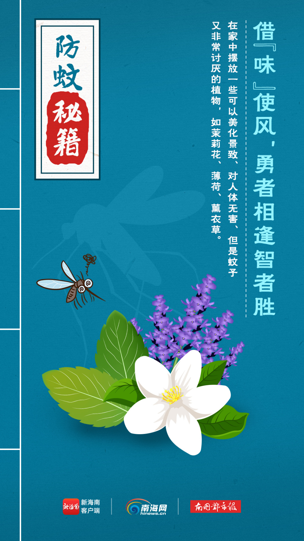 海报驱蚊有妙招这份防蚊秘籍请收藏