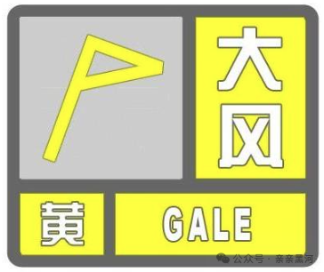 最新!全市大风预警信号,关注最近天气