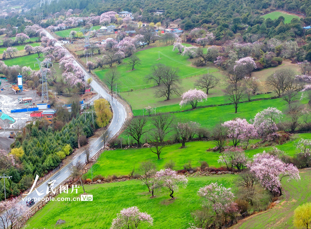 2024年4月7日,西藏自治区林芝市波密县桃花沟风景区,帕隆藏布江沿岸