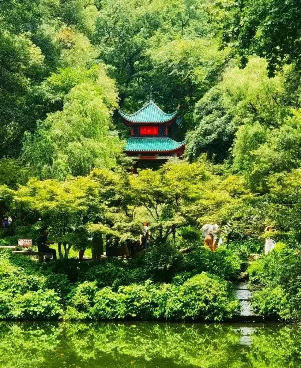 速看长沙岳麓山橘子洲最新公告