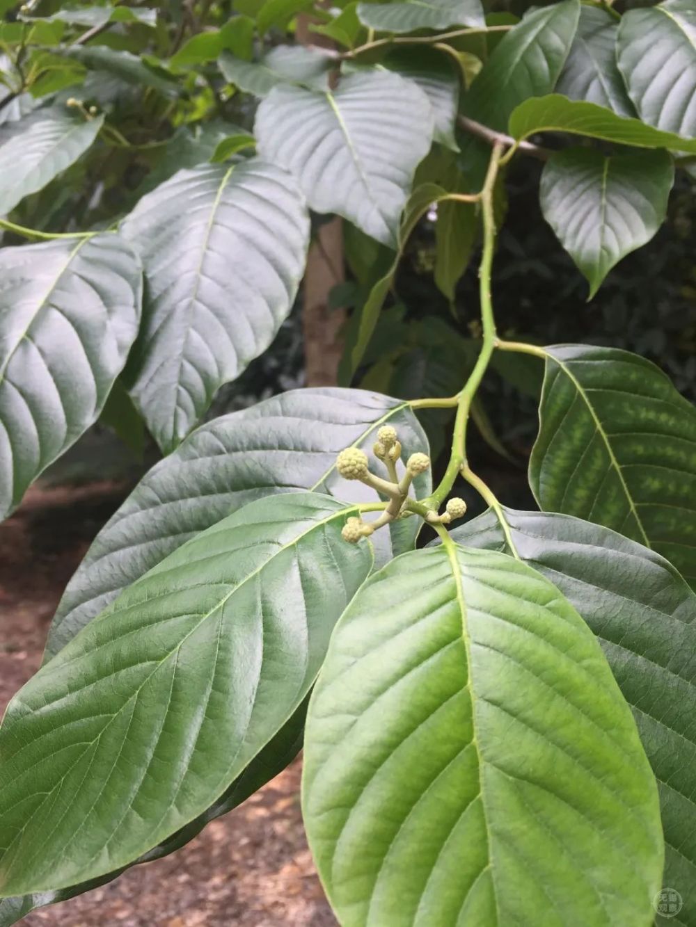 国际生物多样性日来看看无锡的ta们