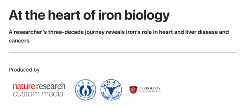 浙江大学医学院,南华大学衡阳医学院王福俤教授团队研究发现,一种铁