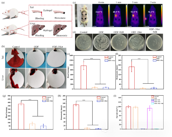 伤口酸是怎么回事《Mater. Today Bio》暨南大学李立华： 透明质酸水凝胶pH响应释放二甲双胍促进糖尿病感染伤口愈合！_https://www.jmylbn.com_新闻资讯_第3张