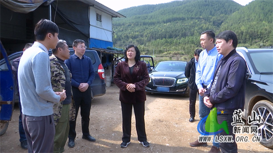 蓝山县邓群率队到楠市所城等乡镇督导生态环保问题整改工作