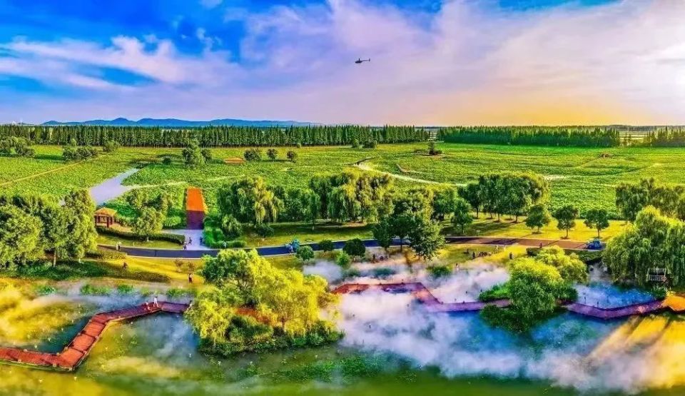 南京大金山风景区八月六合国家地质公园桂子山石柱林景区7月21日7月20