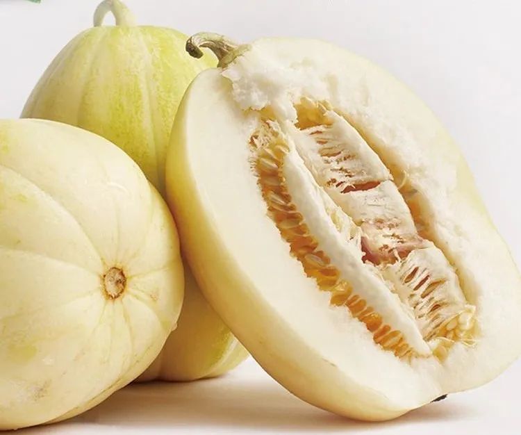 summer杭锦后旗白莲脆香瓜131在种植技术上采用了雄蜂授粉的新方式