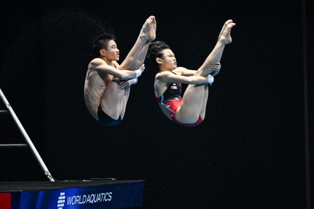 (游泳世锦赛)跳水——混双10米台:王飞龙/张家齐夺冠(4)-腾讯新闻