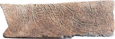 立足田野叩问古今（考古中国）-腾讯新闻