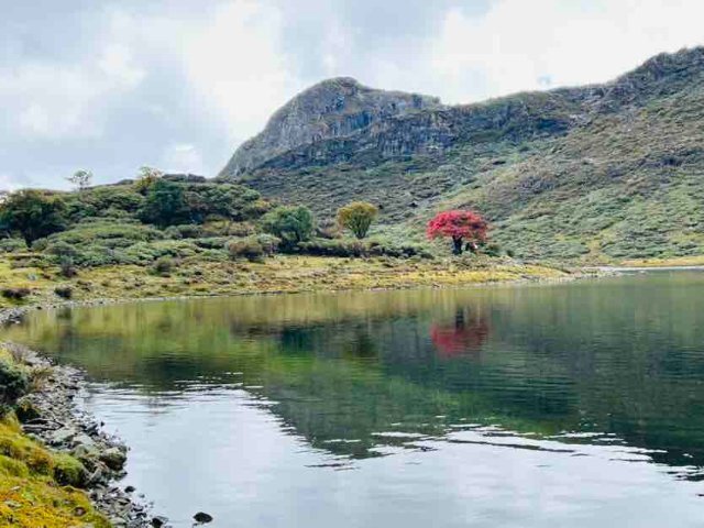 徒步團從哈巴西坡第二營地出發,一路上途經高山草甸,石頭路,沼澤地