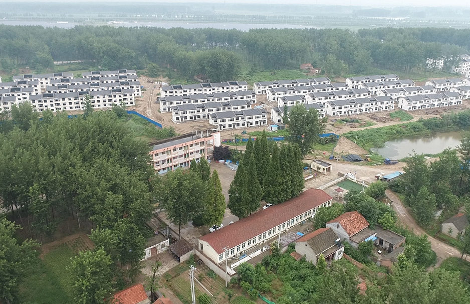 来自山西洪洞大槐树……睢宁年龄最大的树,在这里!