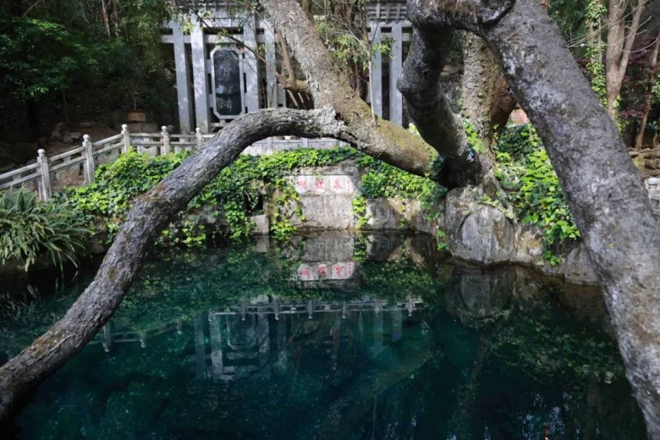 大理州徐霞客研究会,大理旅游集团蝴蝶泉分公司承办,州县徐霞客研究会