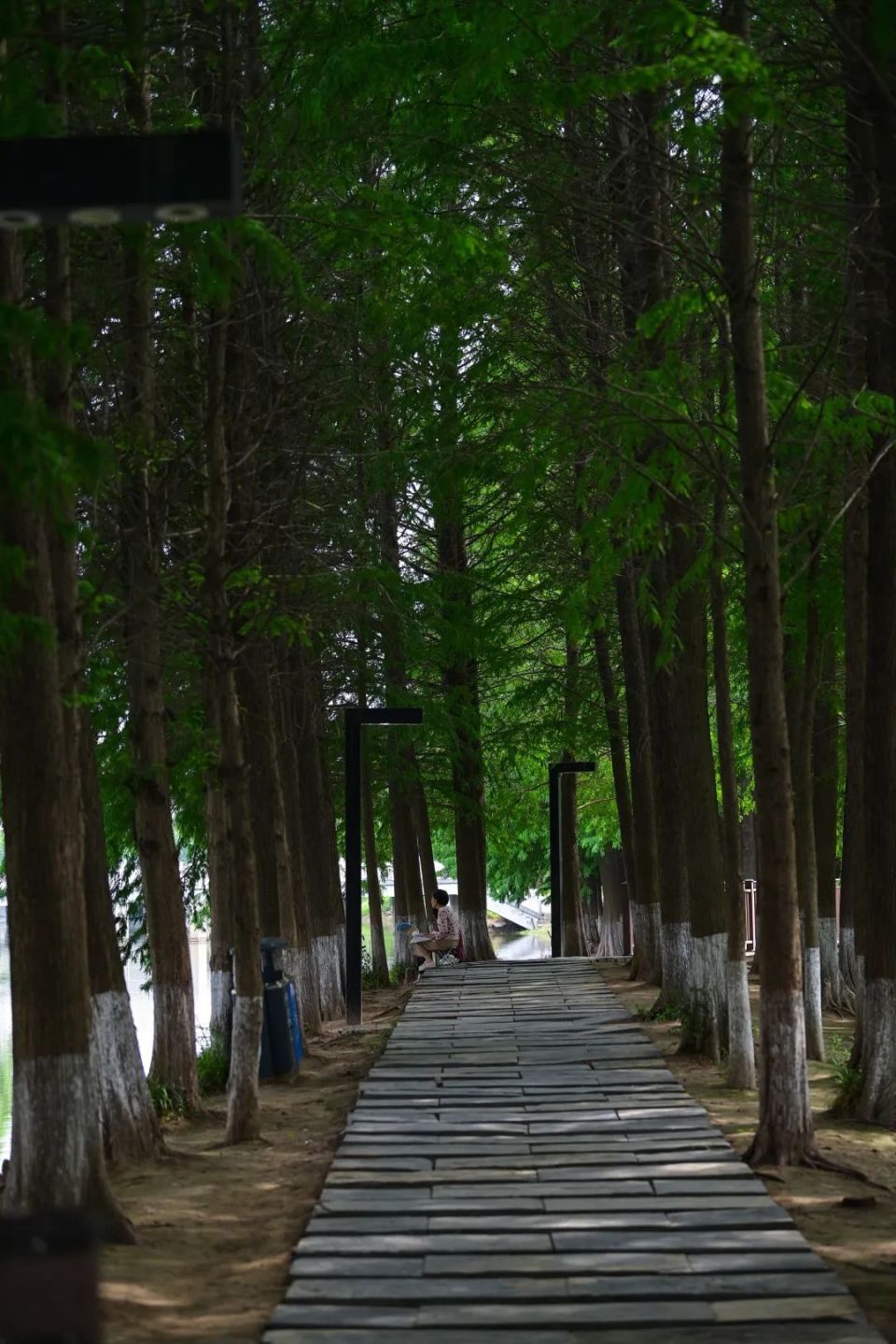 睢宁,"道"处是风景!