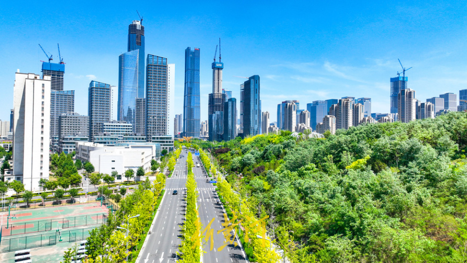 济南cbd里的城市绿洲,绿色浓得仿佛要溢出来