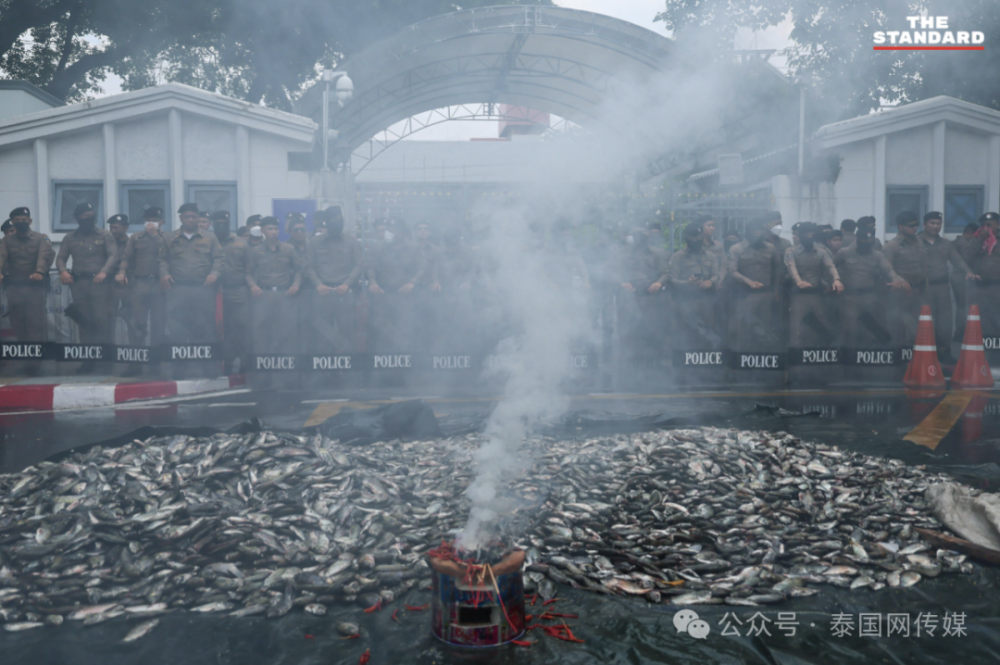 泰国爆发游行！2吨死鱼砸向政府！_腾讯新闻