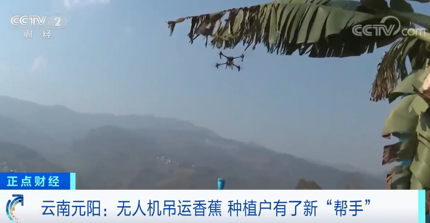 [南方生姜网-图片加载]