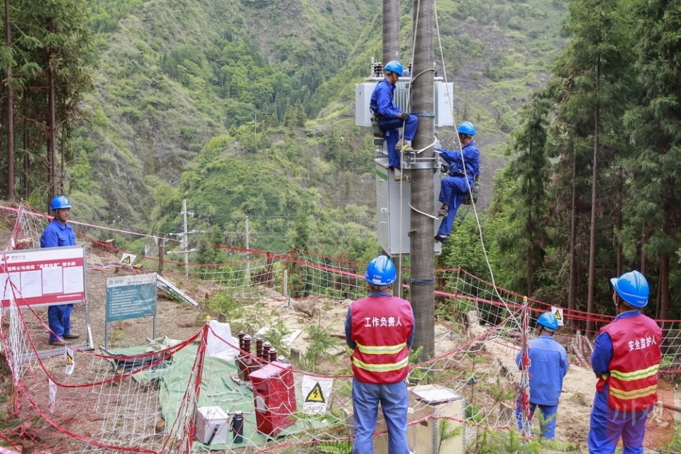 雅安10千伏康学线下叶坪支线生态友好型标准化线路建设完成