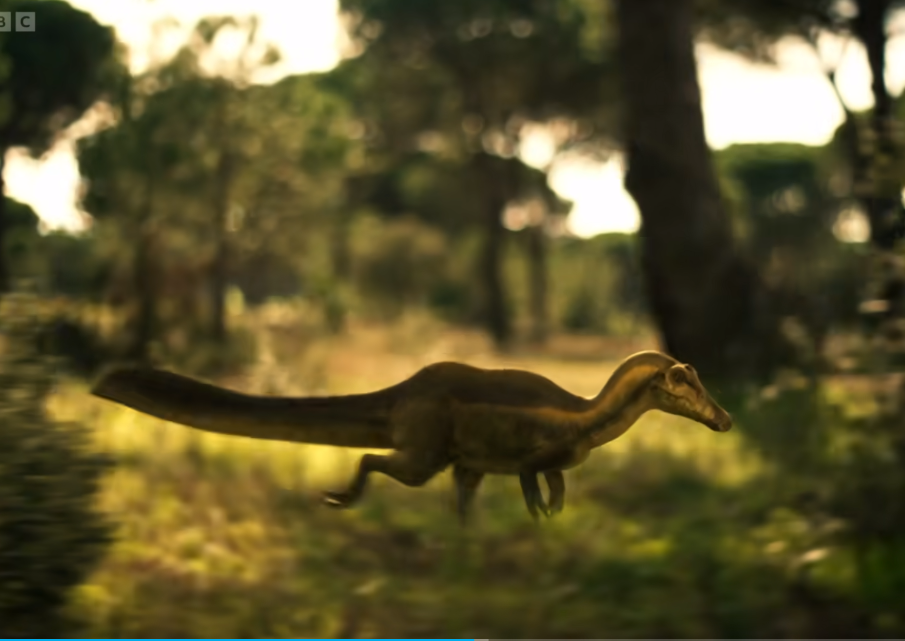 刚出生的小棘龙有多可爱!