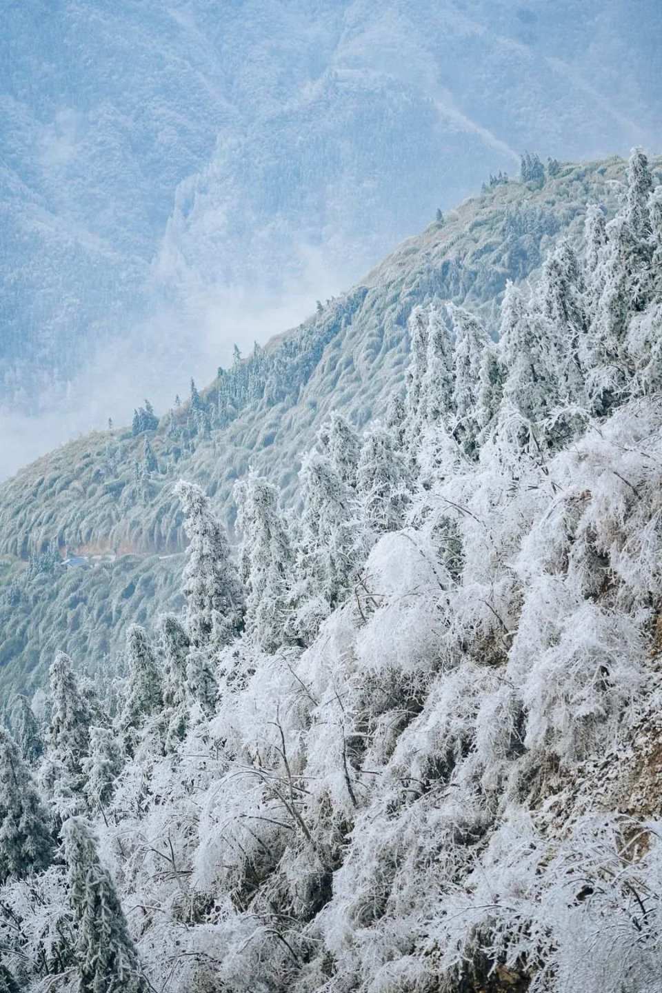 这辈子,总要去括苍山看一次雾凇吧!